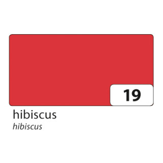 5x folia Fotokarton 50 x 70 cm 300 g/qm Hibiscus