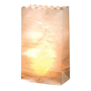 Folia Papier-Lichtertüten 10 Stk. Eistänzerin / blanko 19 x 11,5 x 7 cm